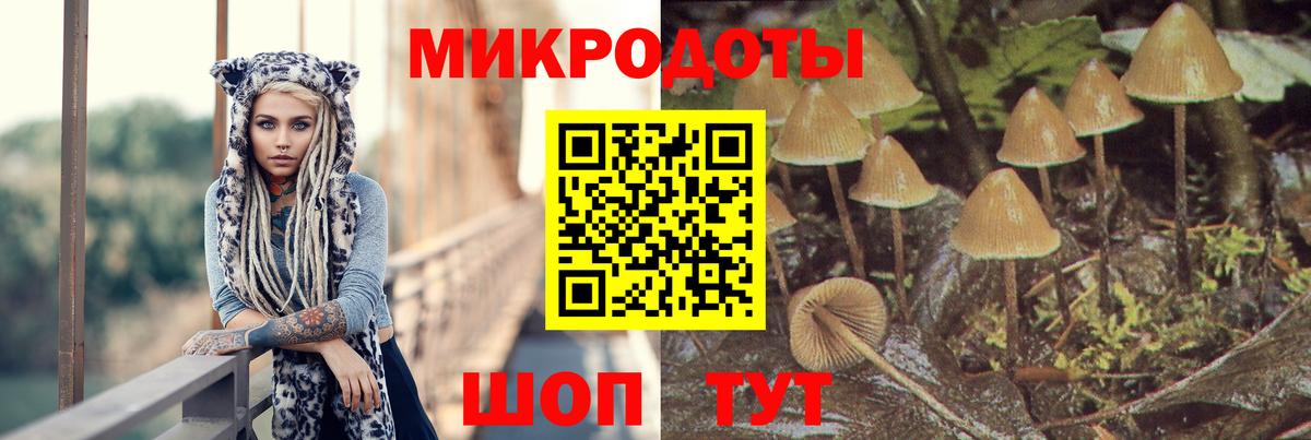 Галлюциногенные грибы Cubensis  Вход с VPN  Галлюциногенные грибы прущие грибы  Йошкар-Ола 
